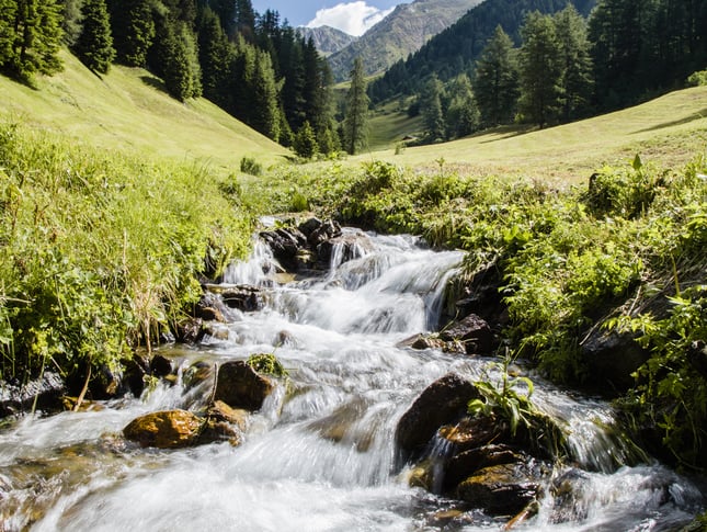 Fischen Südtirol